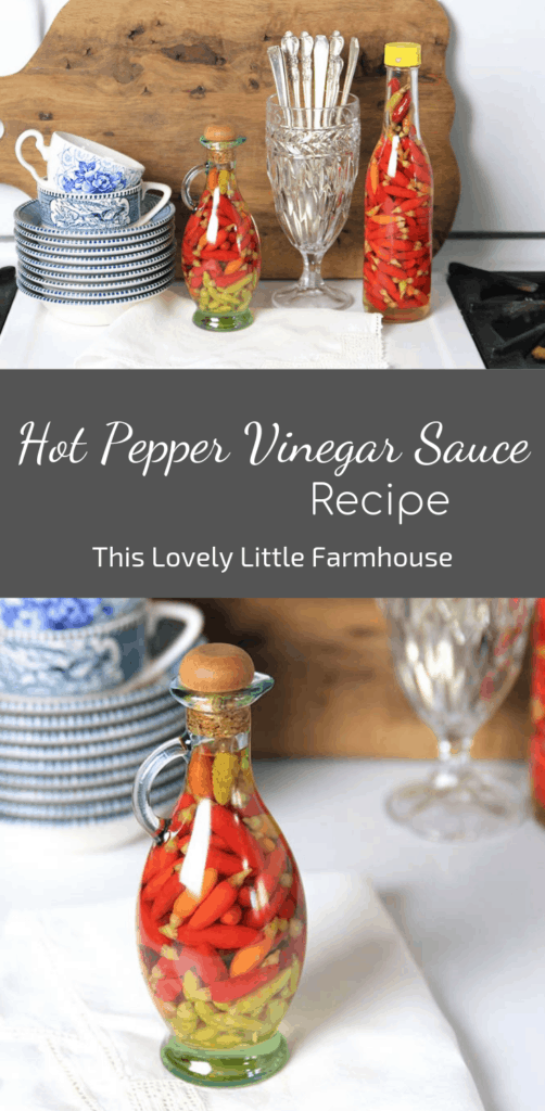 Southern Hot Tabasco Pepper Vinegar Sauce Recipe | This Lovely Little Farmhouse #hotpeppervinegarrecipe #tabascopepppervinegar #tabasopeppers