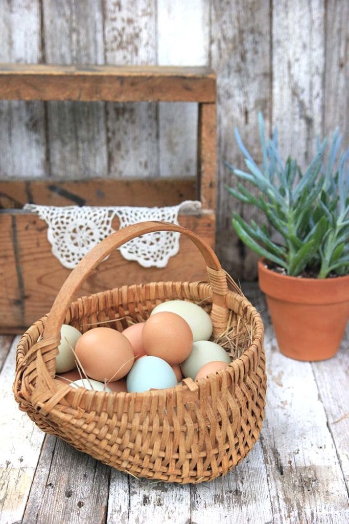 vintage egg basket