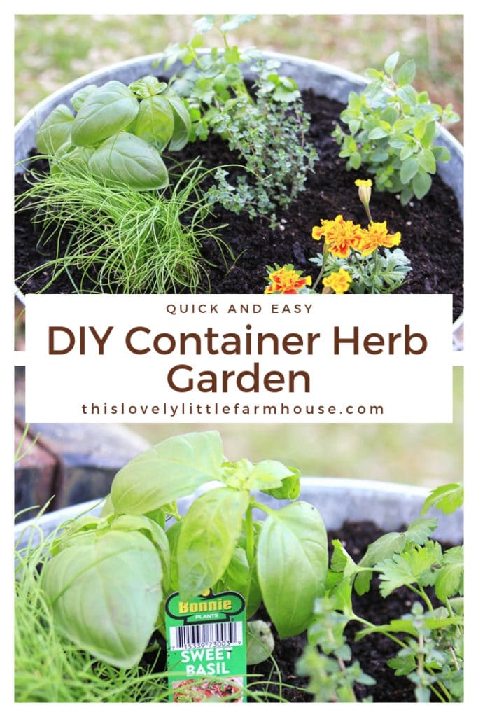 How To Plant A One Container Herb Garden - This Lovely Little Farmhouse
