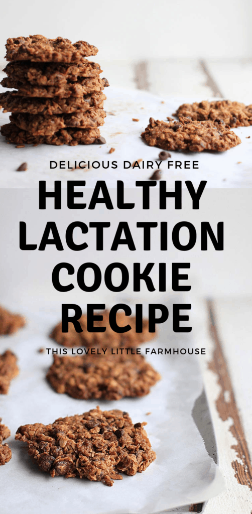 My Favorite Dairy Free Healthy Lactation Cookie Recipe | This Lovely Little Farmhouse