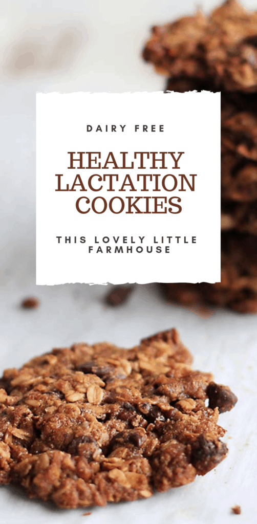 Delicious, dairy free healthy lactation cookies | This Lovely Little Farmhouse #healthycookies #breastfeeding