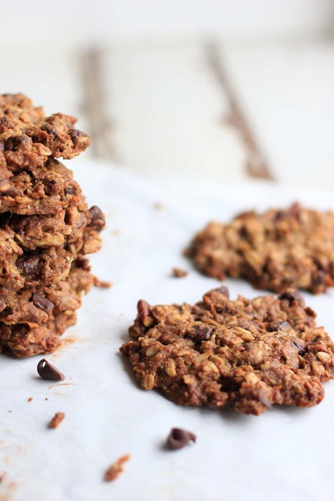 healthy alternatives for lactation cookies recipe