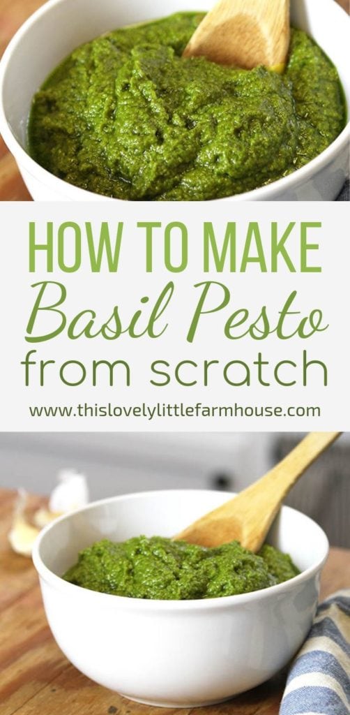 How To Make Homemade Basil Pesto From Scratch | This Lovely Little Farmhouse