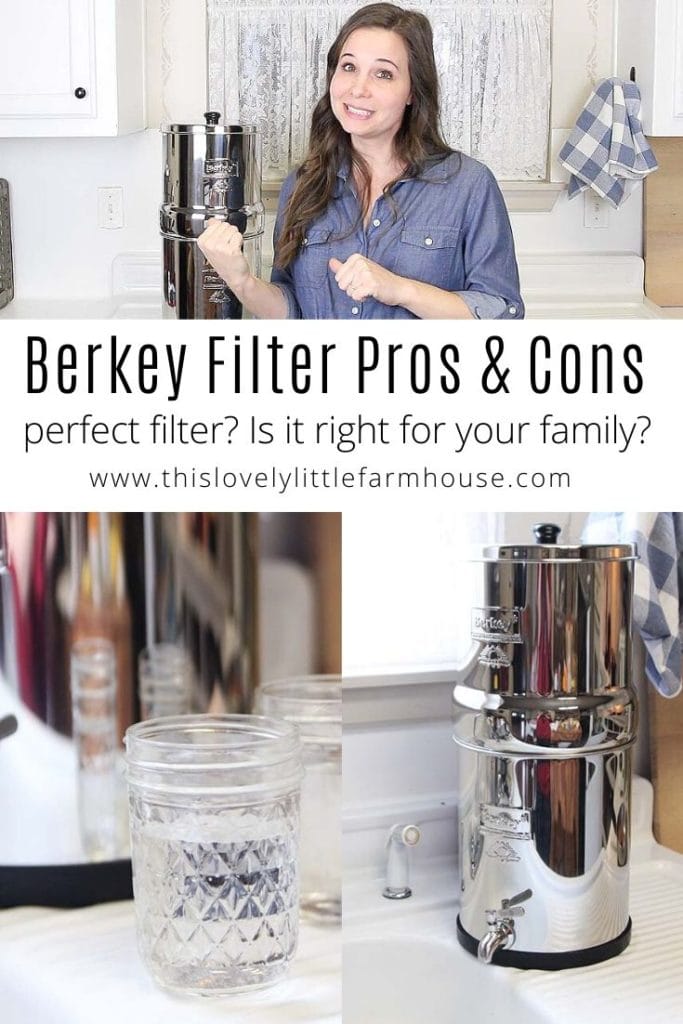 Pros and Cons of the Berkey water filter. Is the Berkey right for your family? | This Lovely Little Farmhouse #berkeyfilterprosandcons #berkeywaterfilter #berkeyfilterreview