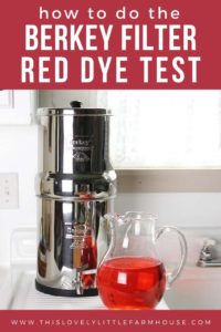 How To Test Your Berkey Filters | BERKEY FILTER RED DYE TEST - This