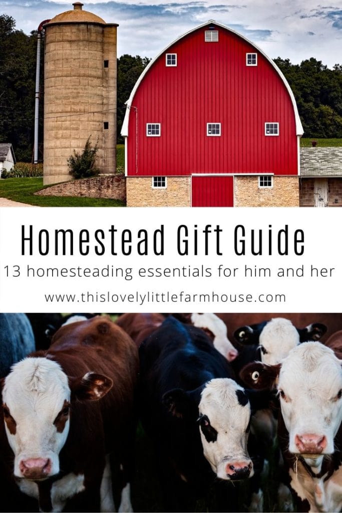 Homestead Gift Guide With 13 Homesteading Essentials For Him And Her | This Lovely Little Farmhouse #homesteadgiftguide #giftideasformom #giftideasfordad