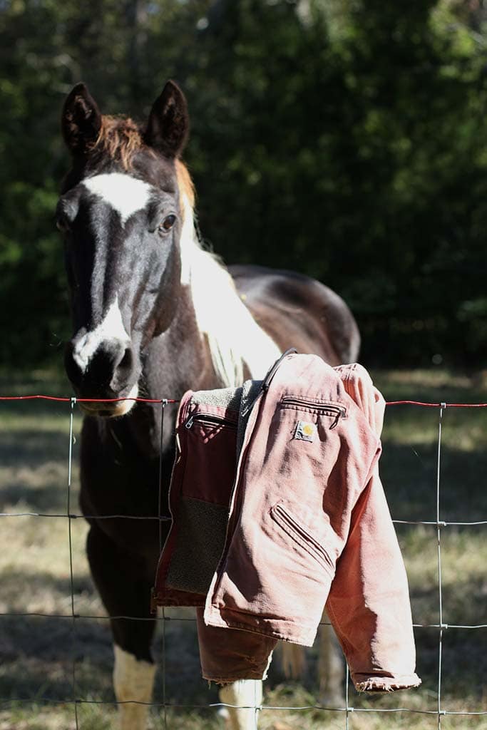 Carhartt jacket hanging on a fence with a black and white paint horse in the background