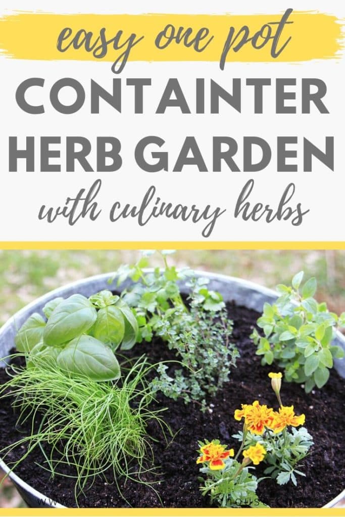 Learn how to plant a simple, DIY, one container potted herb garden at home. Great for small spaces and a cheap way to have fresh herbs for your kitchen year round! #containerherbgarden #howtogrowherbs 
