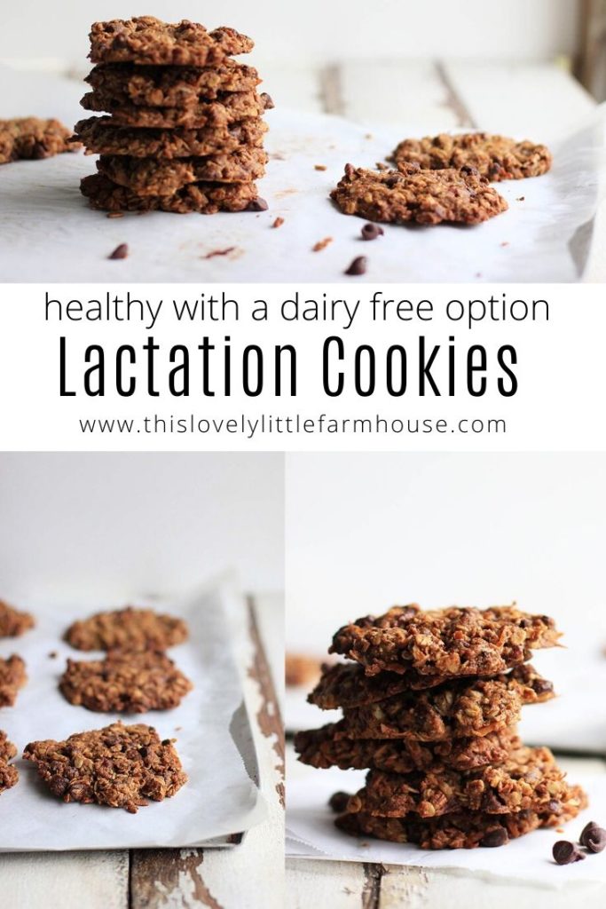 Lactation cookies can be on of the best choices of breastfeeding foods to eat when you need a quick, healthy snack during those middle of the night nursing sessions! Not only do they taste delicious but they actually can help boost your milk supply! #breastfeedingfoods #lowmilksupply #healthybreastfeedingsnacks #lactationcookierecipe #healthylactationcookies #dairyfreelactationcookies 