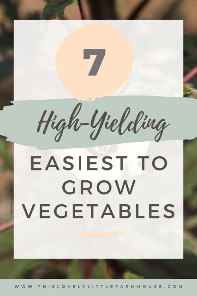 If your goal is working towards self-sufficiency, these seven high-yielding crops are easy to grow and will put you well on your way to taking control of your food supply. Not only are they all easy to grow, they're high-yielding, store or preserve well, and are crops you can save seed from for even more sustainability.