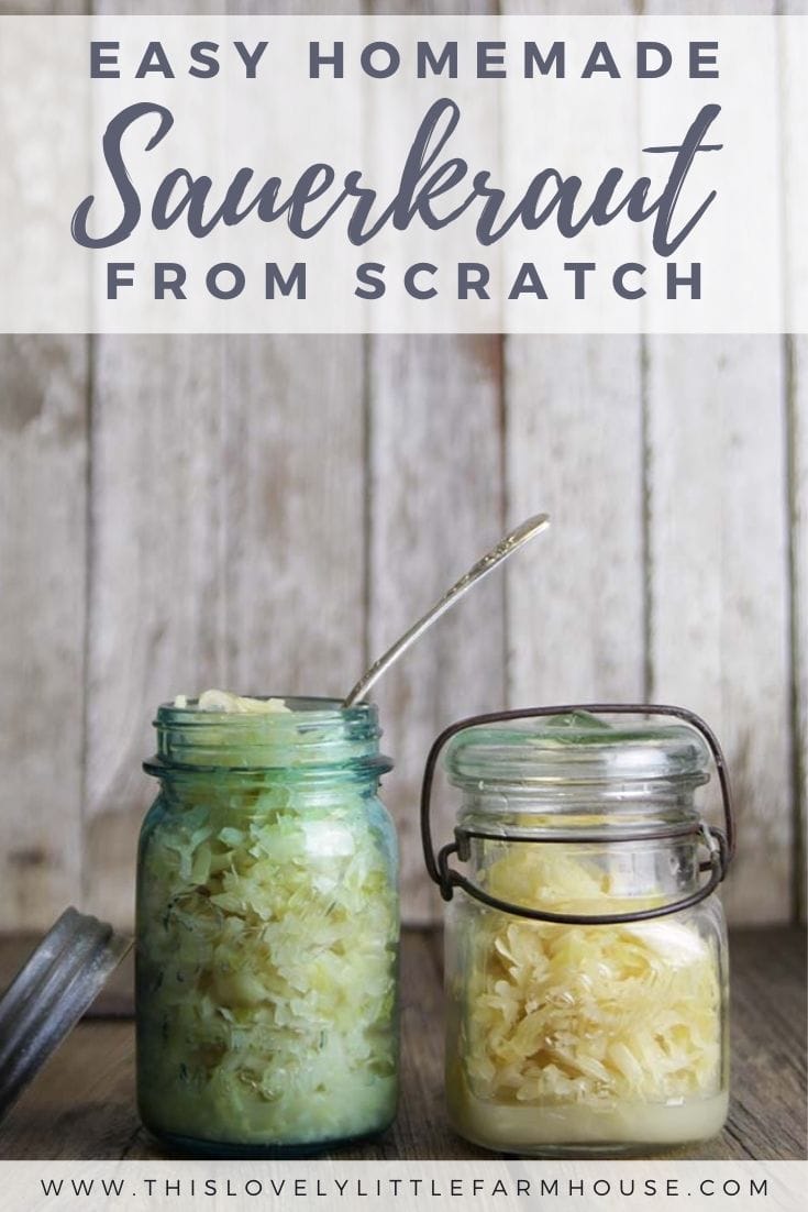 Learn how to easily make your own, gut healthy, homemade sauerkraut with active probiotics! Not only is homemade sauerkraut packed with probiotic goodness, it's one of the easiest fermented foods you can make and so much cheaper than store bought! #sauerkrautrecipe #homemadesauerkraut #guthealingfoods