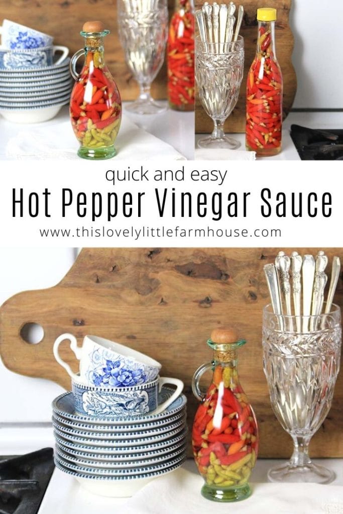 Learn how to make quick and easy hot pepper vinegar sauce using tabasco or any other hot pepper | This Lovely Little Farmhouse #hotpeppervinegarsauce #tabascopeppervinegarrecipe #peppervinegarrecipe
