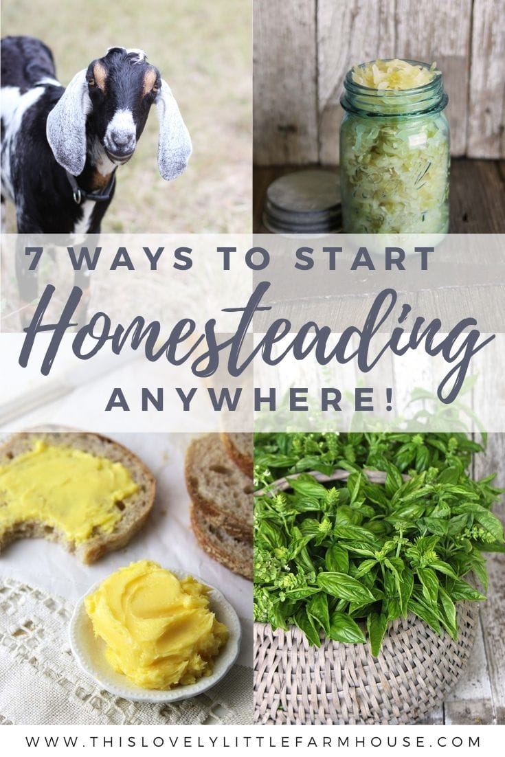 If you've ever dreamed about being self sufficient, living off the land, starting a small scale homestead, or even a little hobby farm, these are 7 simple ways to get started homesteading no matter where you live! #homesteadlifestyle #starthomesteading #howtostarthomesteading